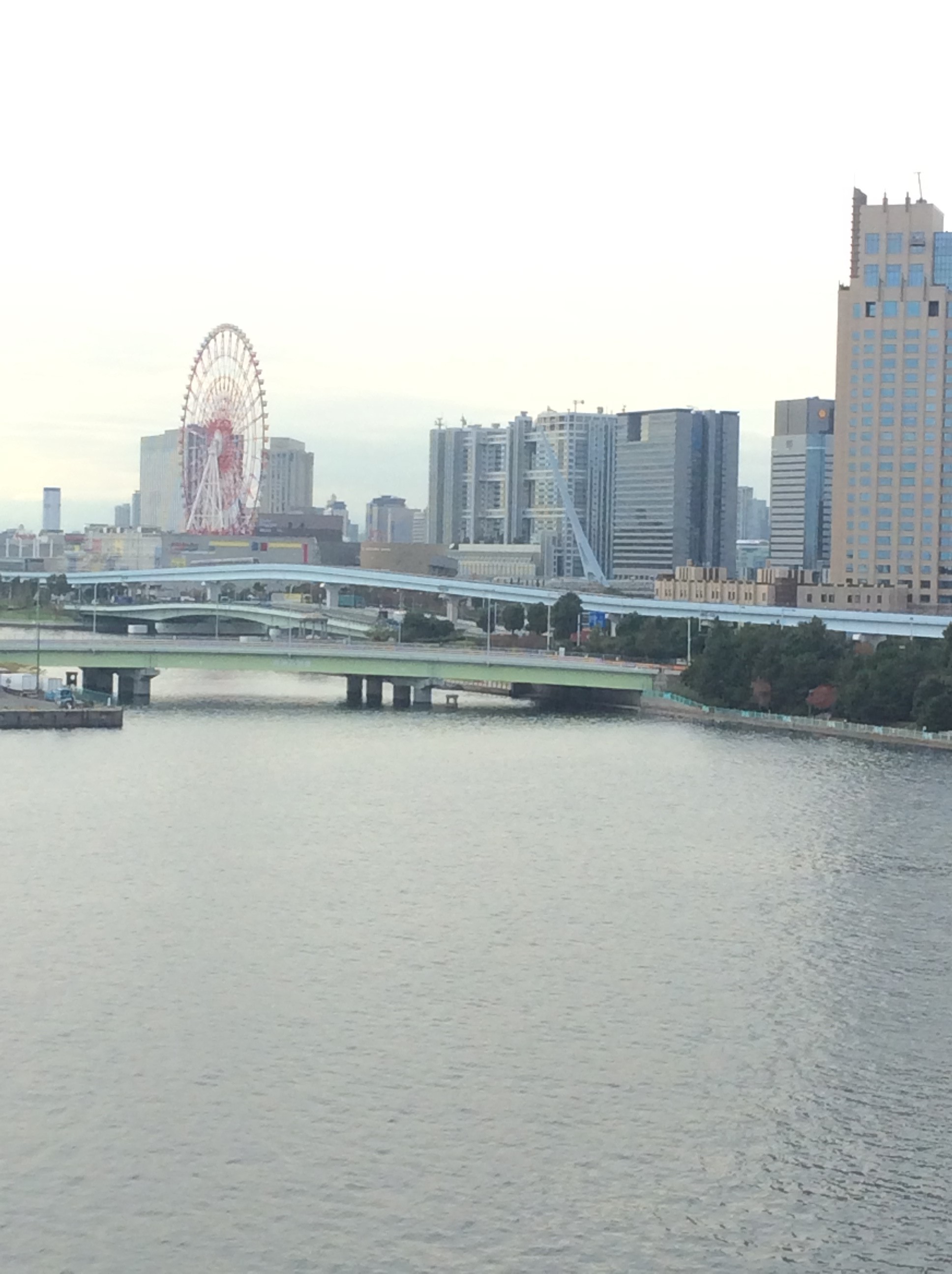 東京　20151112-4